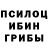 Псилоцибиновые грибы мухоморы Aida Veretilo