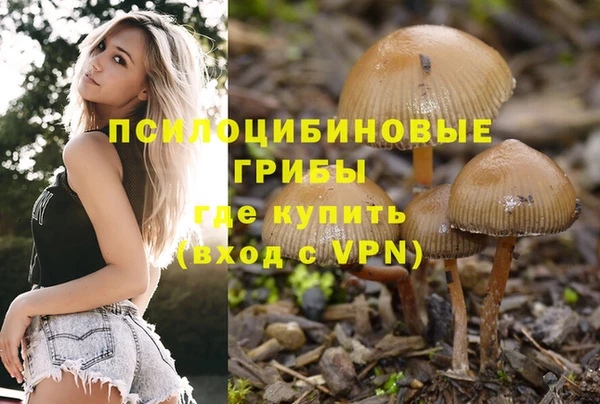 спиды Алзамай