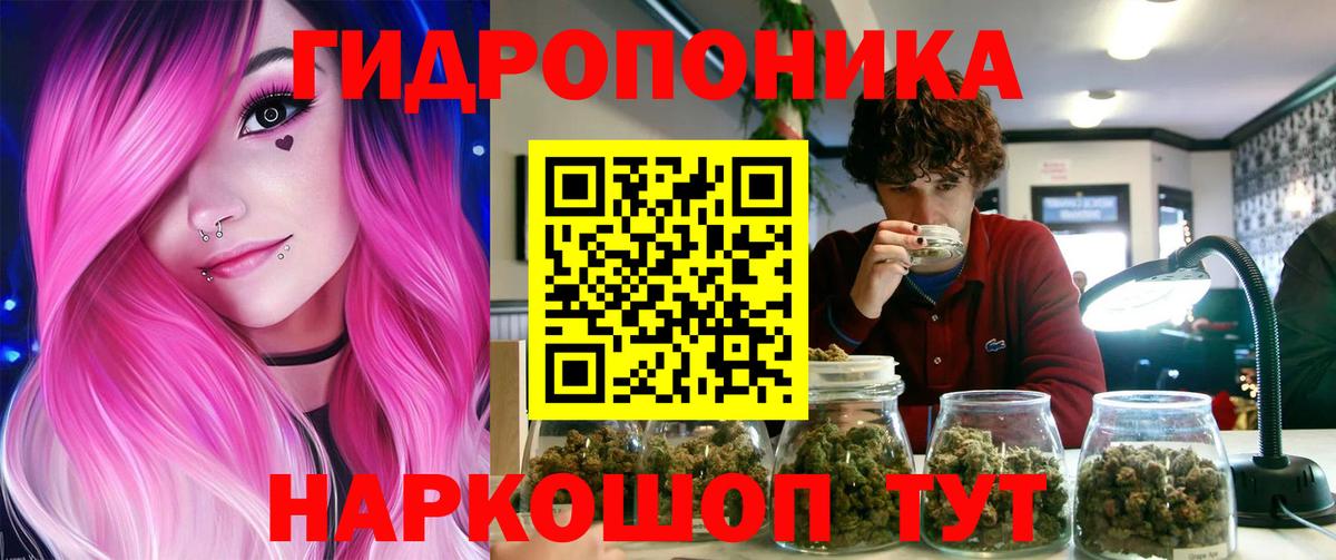 Бошки марихуана планчик Коряжма